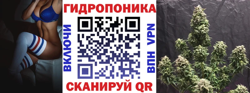 Бошки Шишки план  Купить закладки  Шумиха 